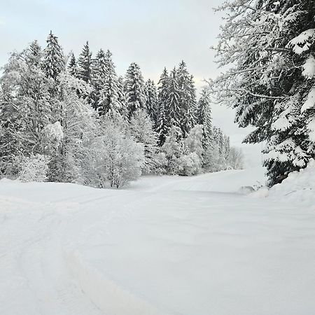Alpen Studio Ellmau II Zewnętrze zdjęcie